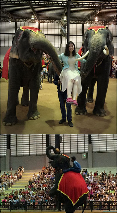 1602826644013074419.jpg 2016092315090040 (1).jpg