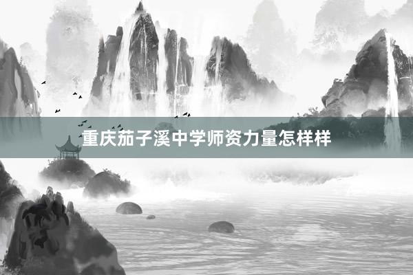 重庆茄子溪中学师资力量怎样样